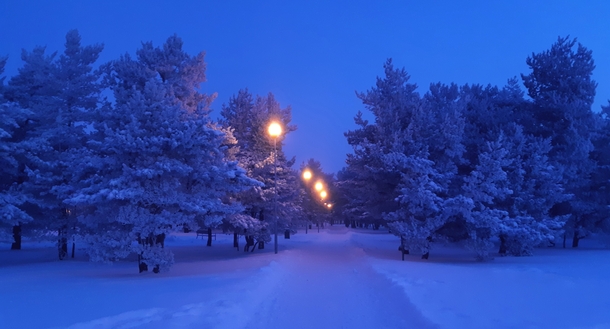 A park in Estonia in the winter Just walking home early in the morning 