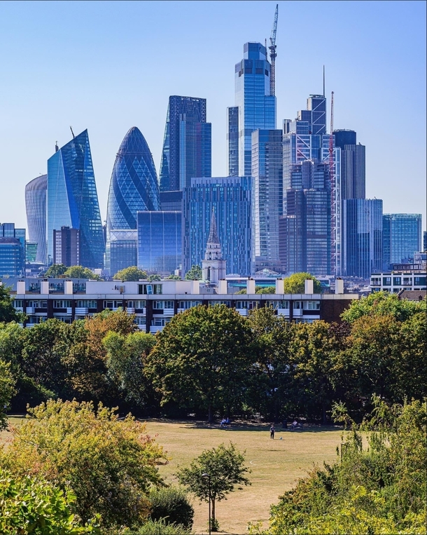 A park in London overlooking the skyline