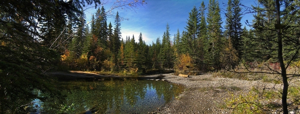 A park trail in Alberta Canada 