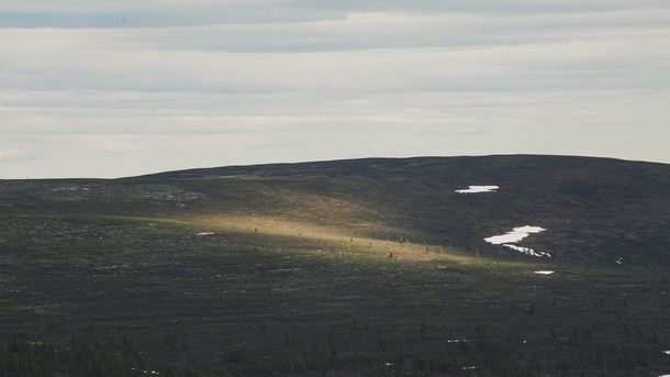 A Patch of Light Illuminating the Fellside Lapland Finland  x