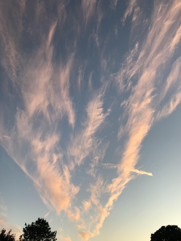 A peaceful photo of cirrus clouds I took