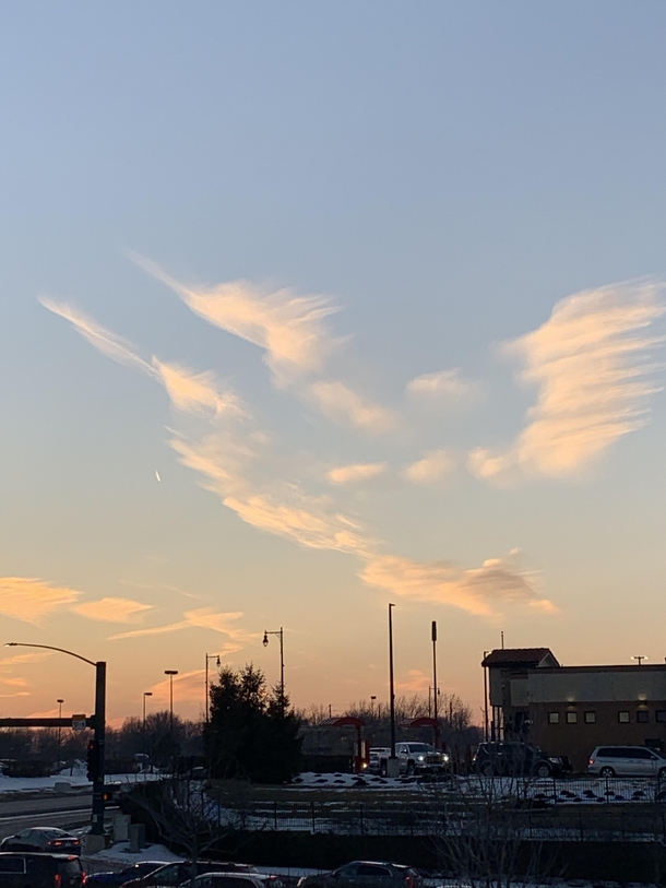 A PERFECT cloud hummingbird Northern Missouri