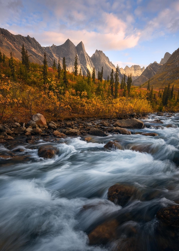 A perfect fall scene in the high arctic of Alaska The rushing creek beautiful fall color and jagged granite mountains in the background were a sight to see Gates of the Arctic National Park Alaska  mattymeis
