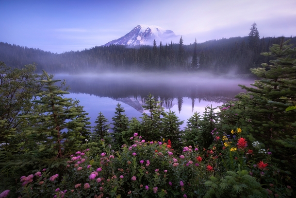 A perfectly serene morning in Mount Rainier National Park  IGJayKlassy