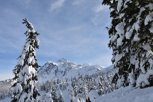 A photo I took up at Mt Baker ski resort in Washington state 