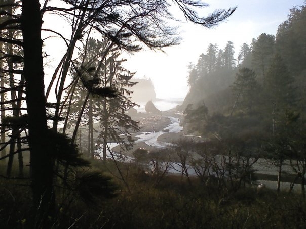 A picture of a foggy Ruby Beach Washington taken ages ago a recent post reminded me of  x  