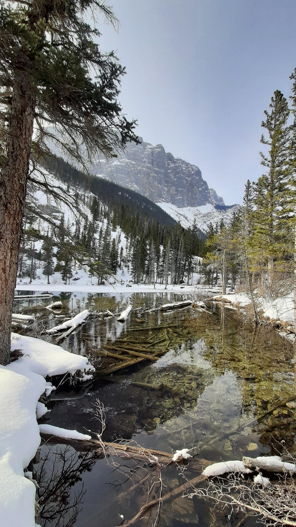 A pond in Banff Canada 