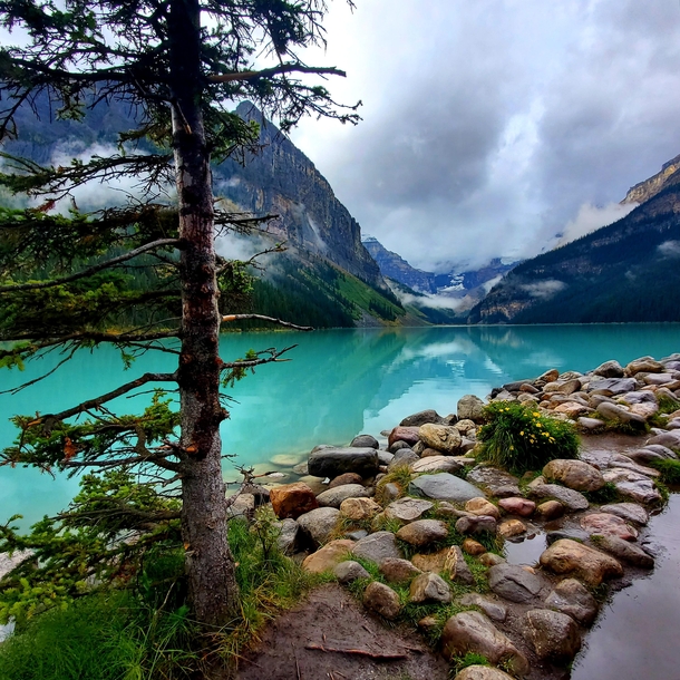 A quiet Lake Louise at Banff National Park Canada 