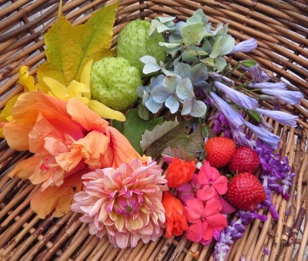 A rainbow arrangement of various plants