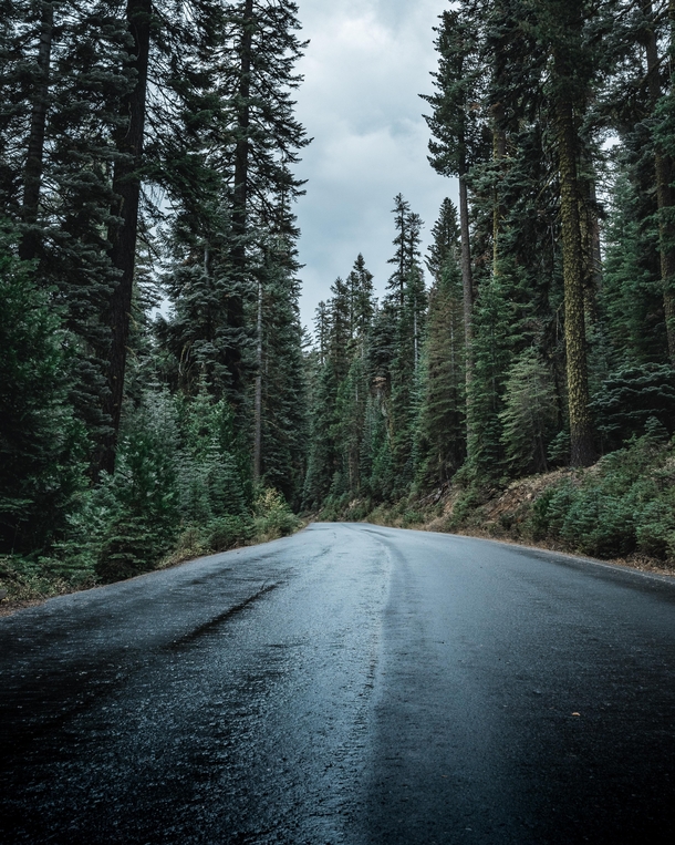 A rainy mountain backroad in the Stanislaus National Forest 
