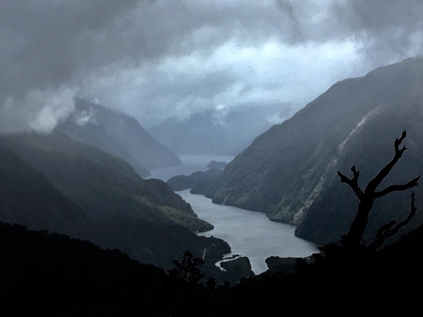 A rare shot taken between the clouds of rain and black flies at Doubtful Sound New Zealand 