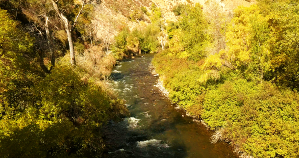 A river near Bear Canyon Utah 