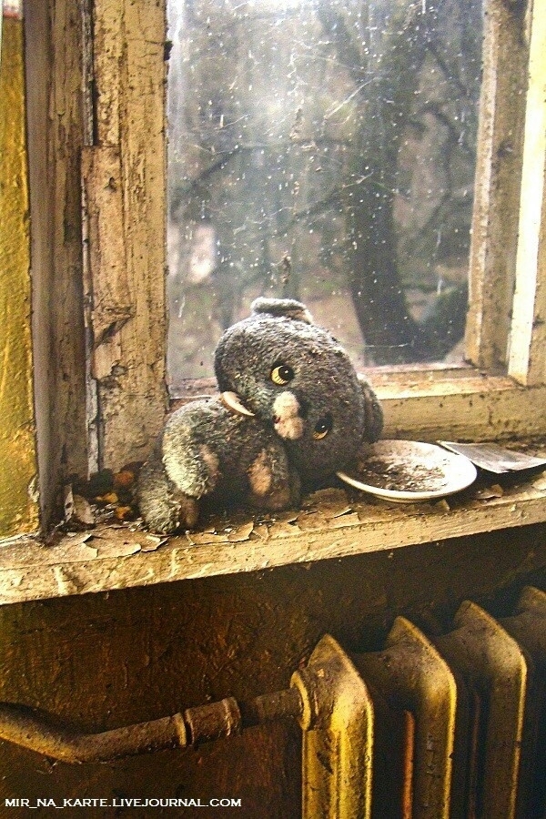 A Sad Looking Toy Left Behind Photo by Sergey Shestakov 