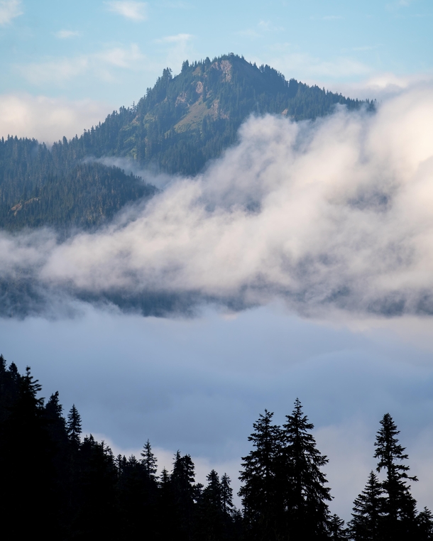A sea of clouds between two mountains in Mt Rainier National Park 