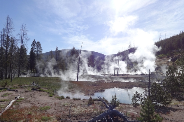 A Semi-Post-Apocalyptic World in Yellowstone 