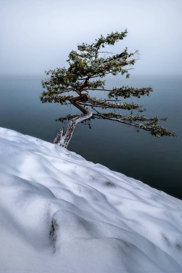 A serene scene from a recent snowstorm in the Pacific Northwest 