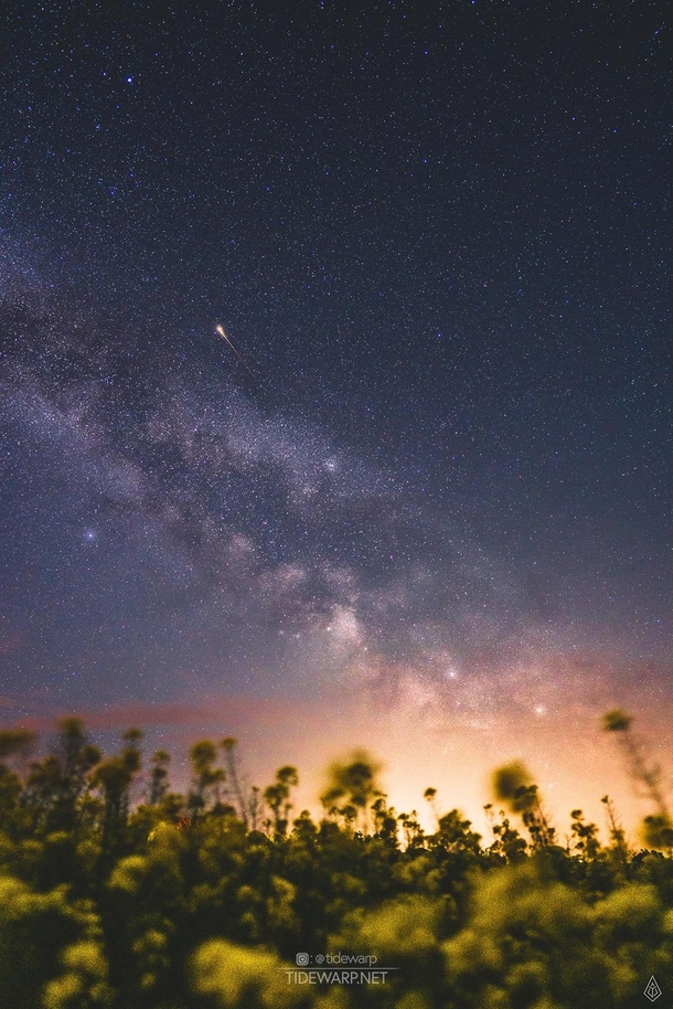 A shooting star and the milky way photographed from a Canola Field in Denmark 