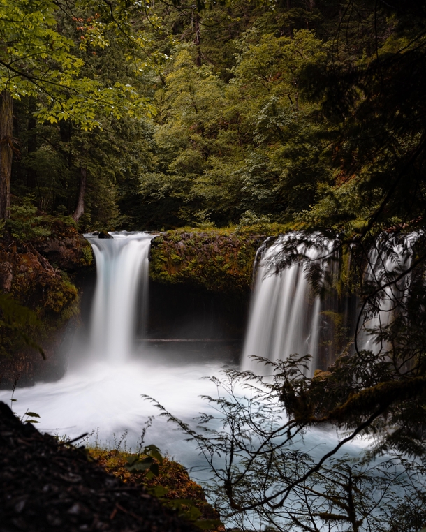 A short and sketchy hike down to this stunning waterfall in Oregon Spirit Falls 