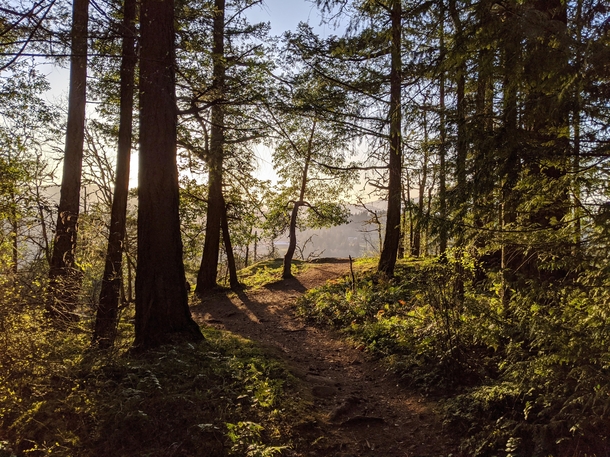 A short hike from my apartment in Victoria BC 