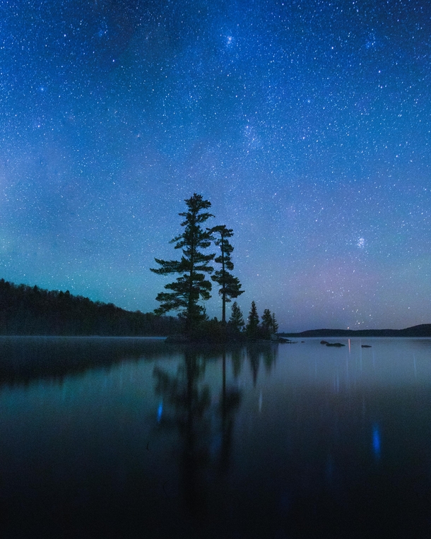 A single exposure shot in the Algonquin Park interior at night  IG mikemarkov