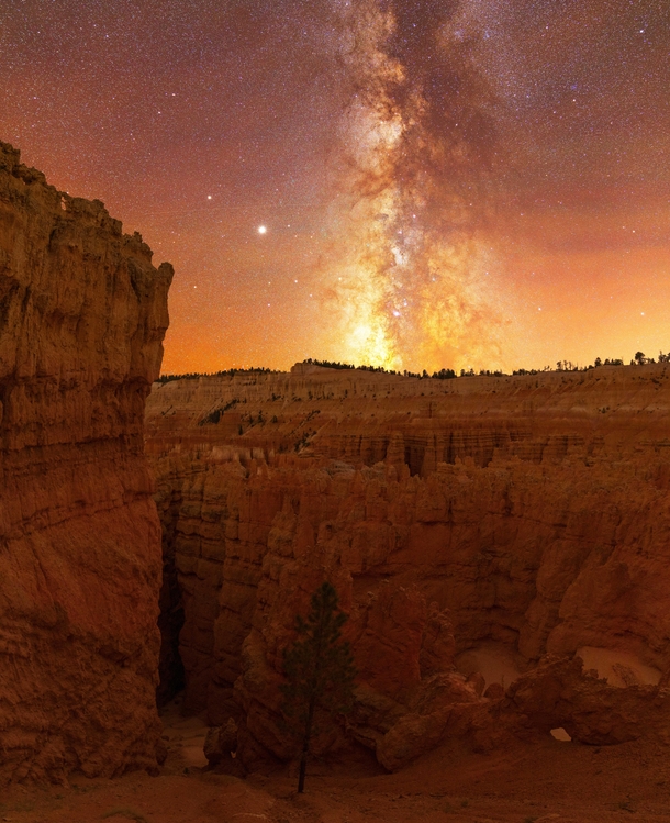 A Single Tree under the Milky Way - Bryce Canyon National Park 