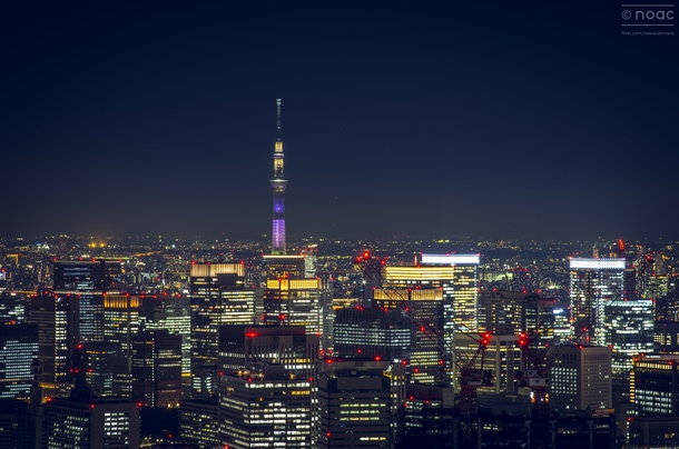 A Skytree Looms In The Distance - Downtown Tokyos skyline with the Tokyo Skytree second tallest structure in the world 