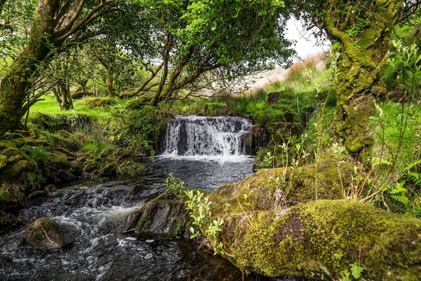A small babbling brook in Ireland I ripped my pants and fell in shortly after taking the photo OC 