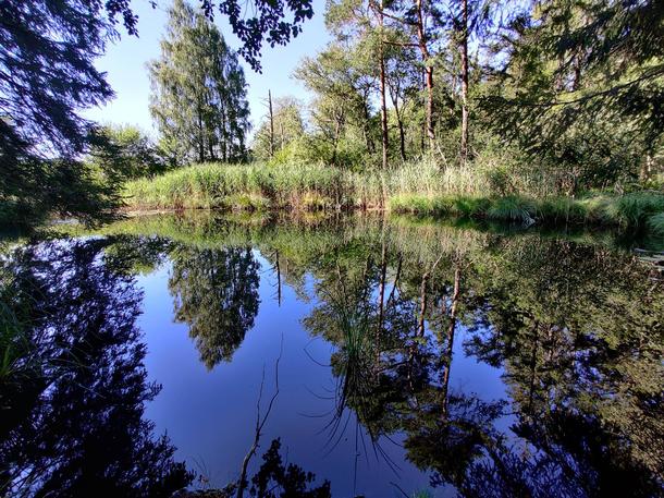 A small nameless pond Upper Bavaria Germany x 
