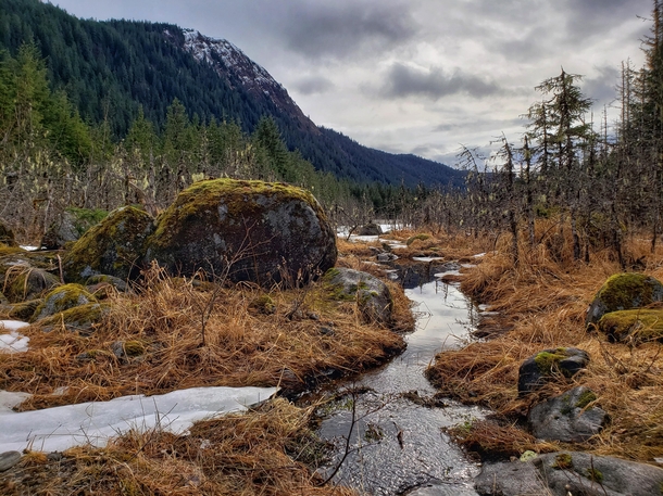 A small stream in Juneau AK Feels like spring has sprung 