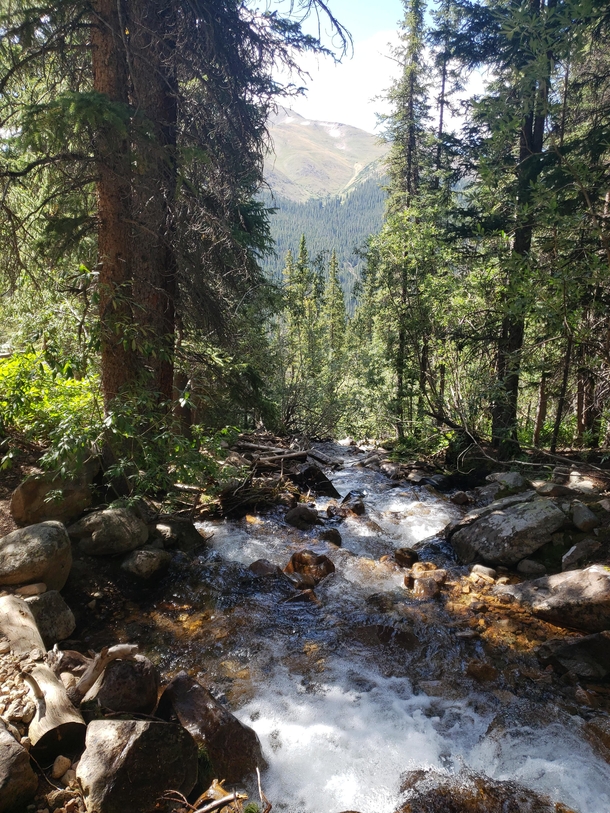 A small stream in the Arapaho National Forest Colorado 