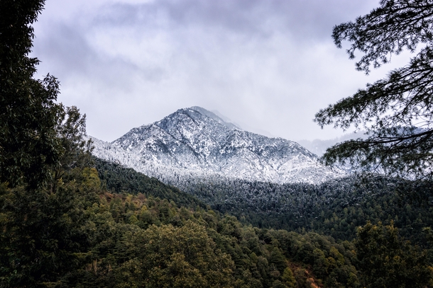 A Snowy Mountain in Mcleodganj India 