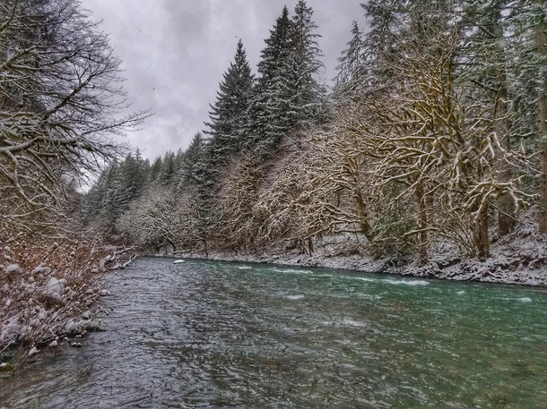 A snowy Sol Duc River Olympic National Forest WA 