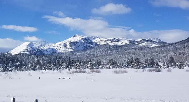 A snowy winter scene somewhere in the Eastern Sierras 