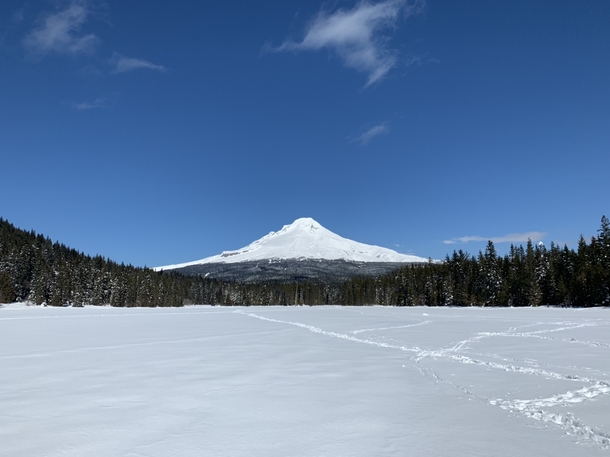 A spectacularly clear late winter day gave me this great view of Mount Hood from Trillium Lake in Oregon 