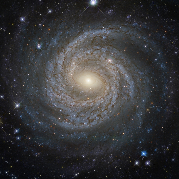 A spiral snowflake - NGC  