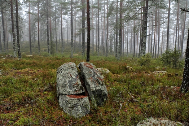 A split rock in a Swedish forest 