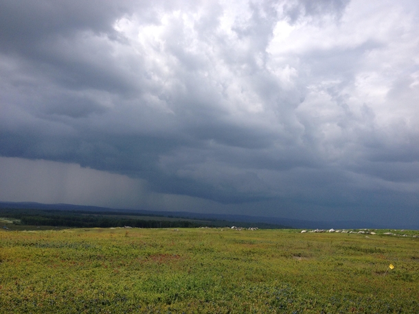 A storm moving in over blueberry fields in Union Maine