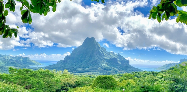 A stunningly beautiful island worth a trip across the globe for Taken at Belvedere Lookout Moorea French Polynesia 