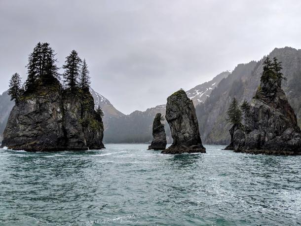 A surreal experience floating past the spires near Aialik Bay in Kenai Fjords National Park Alaska 