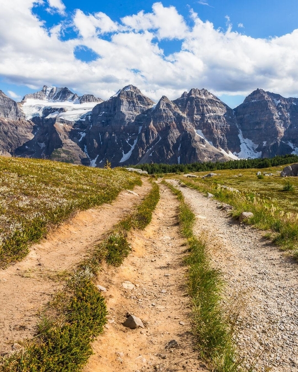 A trail that seemed to be made for people with crutches Alberta Canada natureprofessor