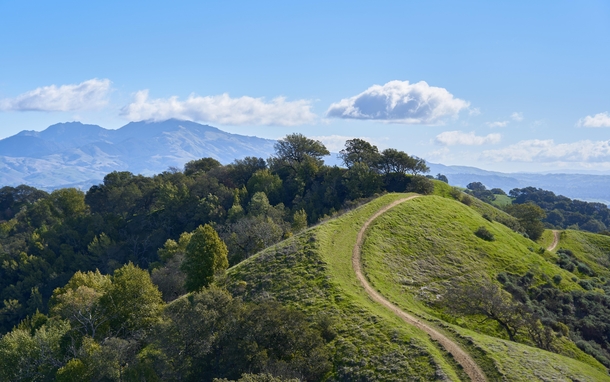 A trail through rolling hills in the SF Bay Area 