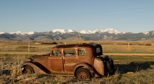 A tree growing out of an abandoned car with the Tobacco Root Mountains in the background 
