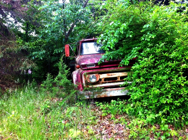 A truck in the woods of Missouri 