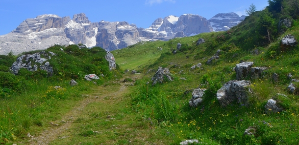 A typical view in the Brenta Dolomites of Italy verdant meadows below jagged and unusual peaks 