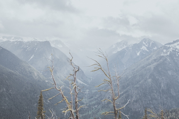 A valley in North Cascades National Park WA during a storm  OC