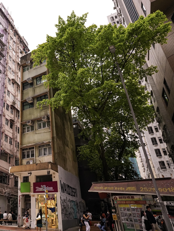 A very skinny building in Wanchai Hong Kong