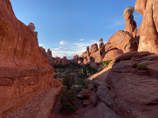 A view from June within Arches National Park Utah 