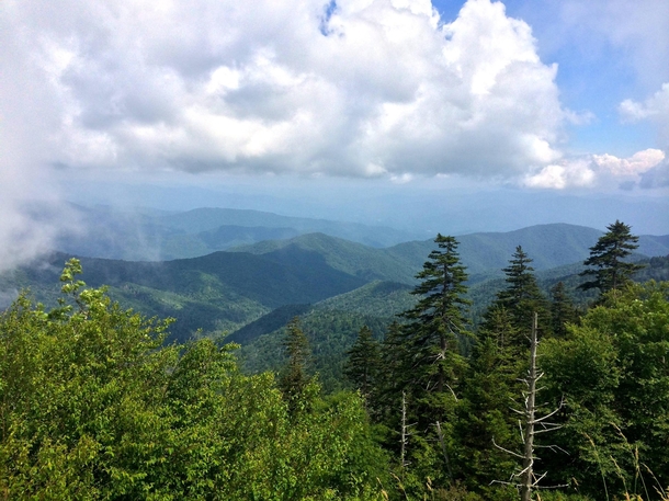 A view from the highest point in Great Smoky Mountains National Park Clingmans Dome TN 