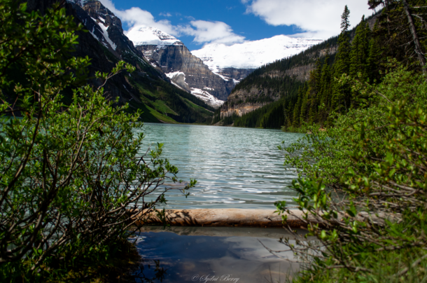A view from the Lake Louise Lakeshore Hike 
