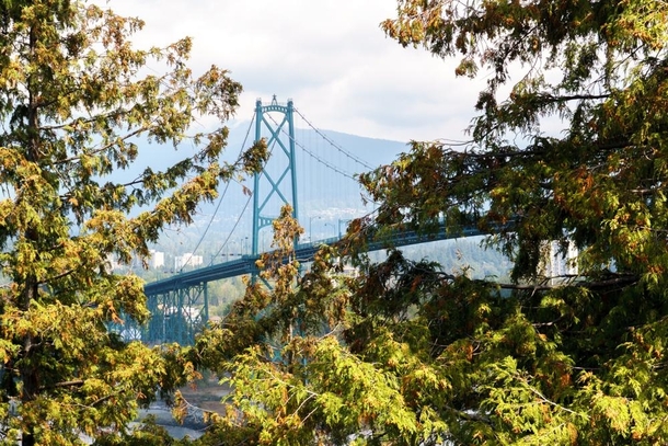 A view of Lions Gate Bridge in Vancouver through the trees 